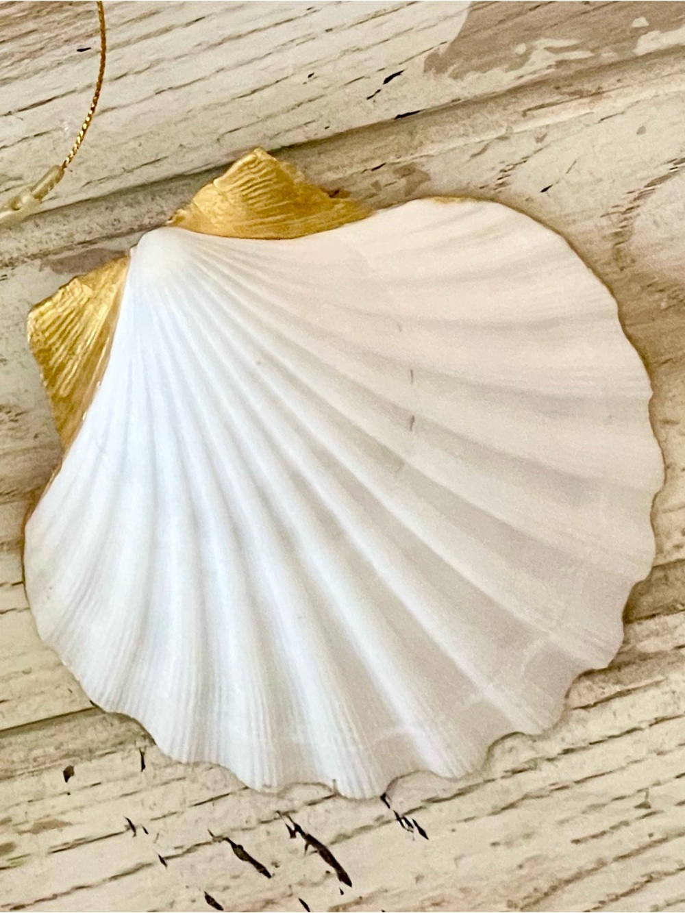 Hand Crafted Clam Shell Salt and Pepper Trivet Dishes - Picture 4 of 4